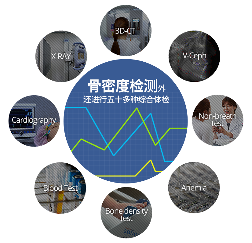 safety-bone-2-%EC%A4%91%EA%B5%AD.png