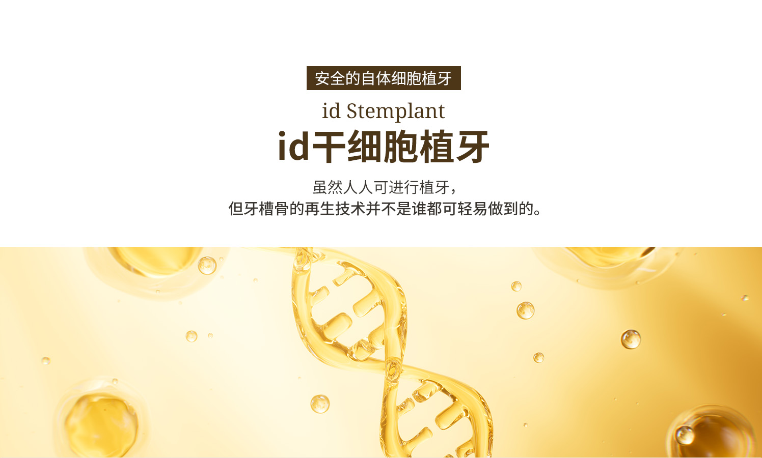 id干细胞植牙简介：利用患者自身干细胞实现更安全的再生型植牙技术